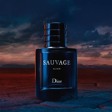 dior sauvage launch date|sauvage Dior best price.